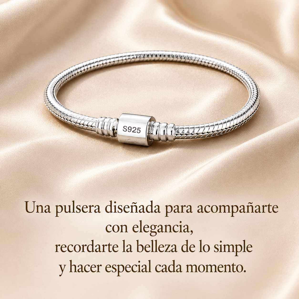 Pulsera Premium para Dijes y Charms Plata