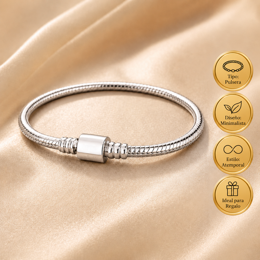 Pulsera Premium para Dijes y Charms Plata